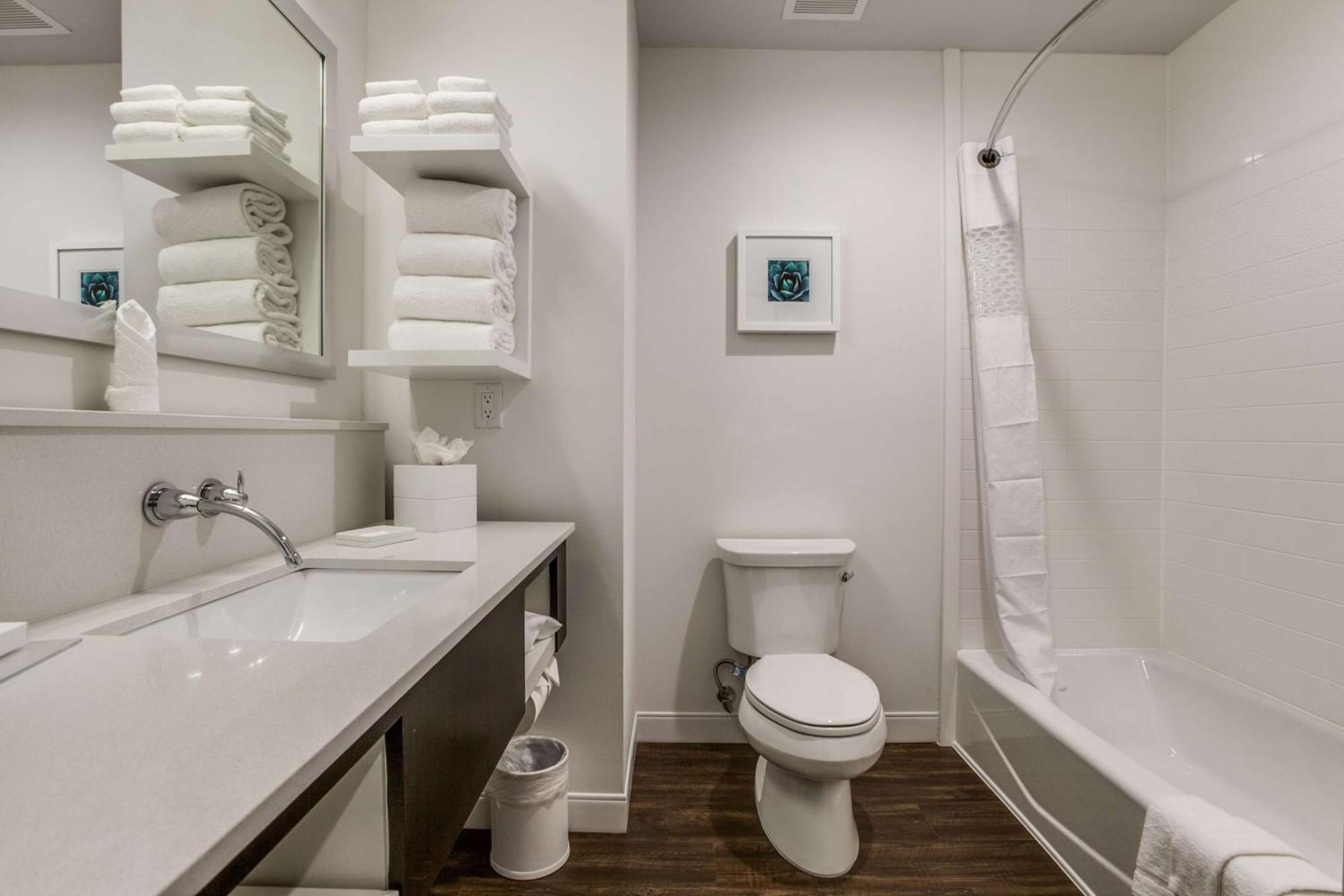 Hampton Inn & Suites Dallas-Central Expy/North Park Area מראה חיצוני תמונה